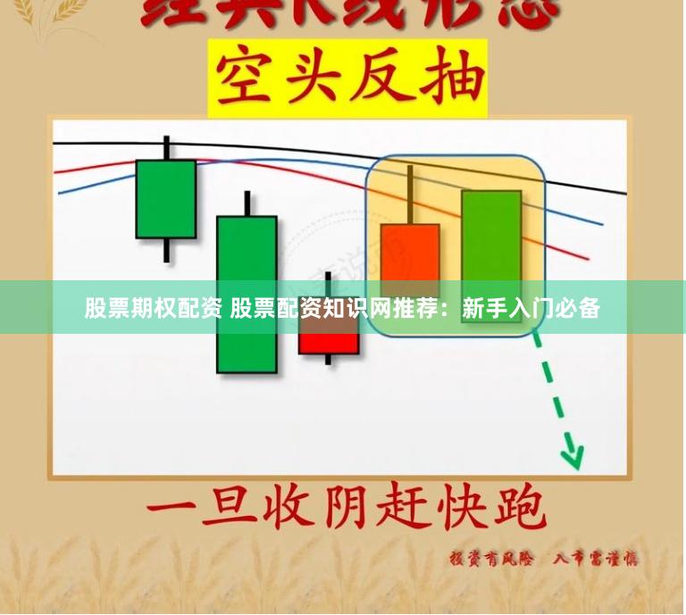 股票期权配资 股票配资知识网推荐：新手入门必备